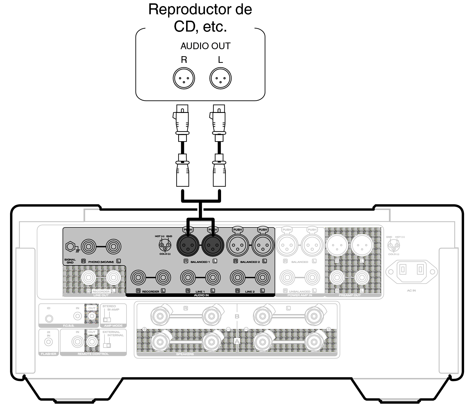 Conne player XLR MODEL10